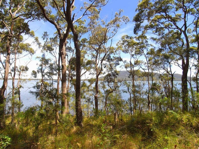 Bonny Hills NSW 2445