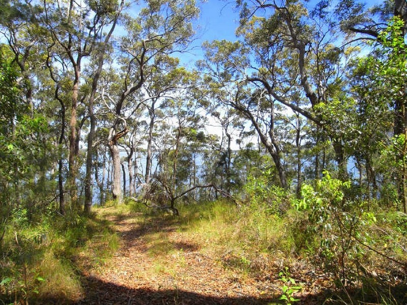 Bonny Hills NSW 2445