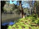 Rossglen NSW 2439