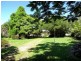 Rossglen NSW 2439