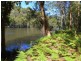 Rossglen NSW 2439