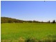 Rossglen NSW 2439