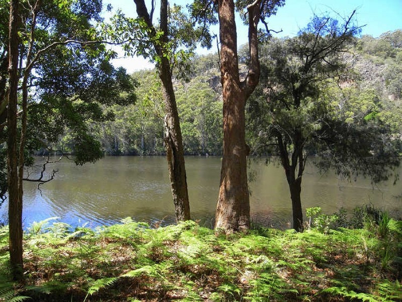 Rossglen NSW 2439