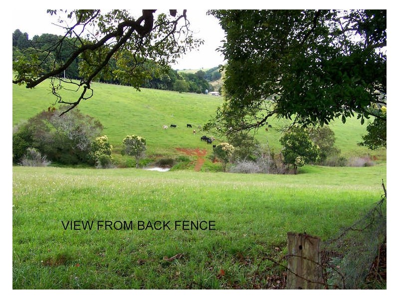 19 Main Street, Comboyne NSW 2429