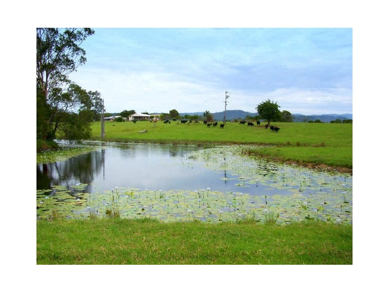 Lorne NSW 2439