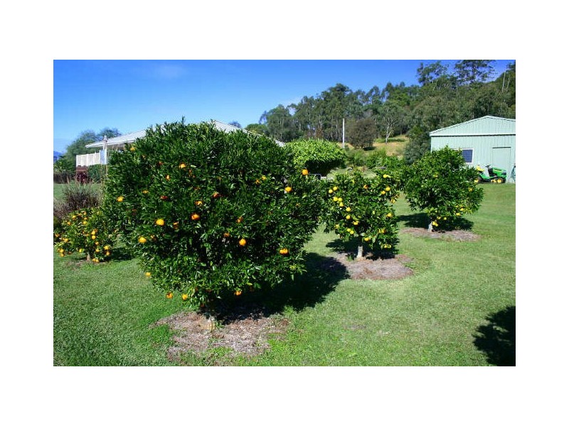 Kendall NSW 2439