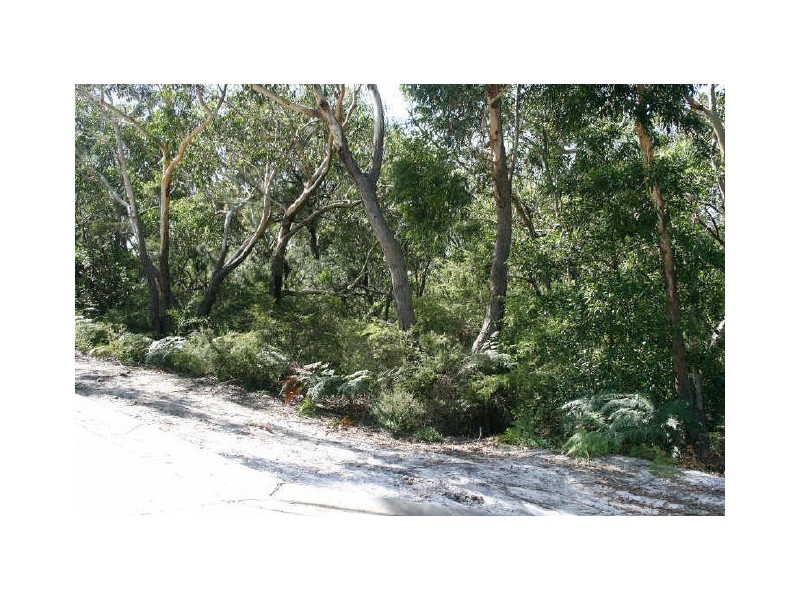 Dunbogan NSW 2443