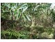Dunbogan NSW 2443