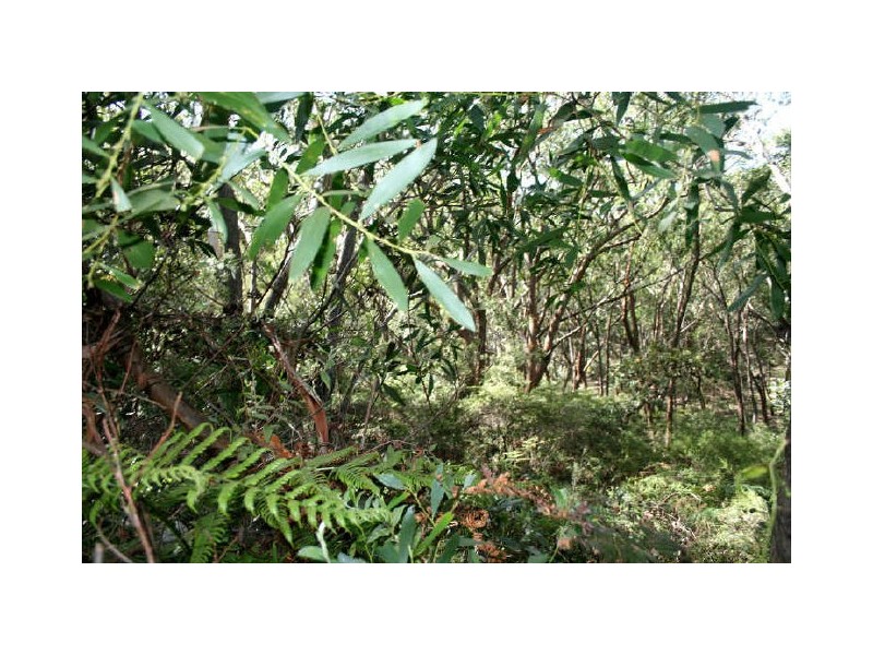 Dunbogan NSW 2443