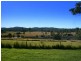 Herons Creek NSW 2443