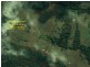 Herons Creek NSW 2443