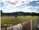 Moorland NSW 2443