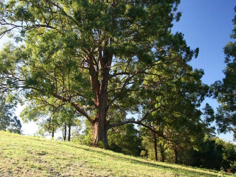 48 Brotherview Lane, Hannam Vale NSW 2443