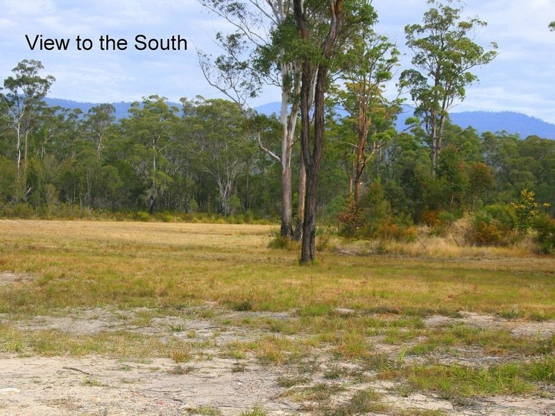 Kew NSW 2439
