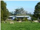 Hannam Vale NSW 2443
