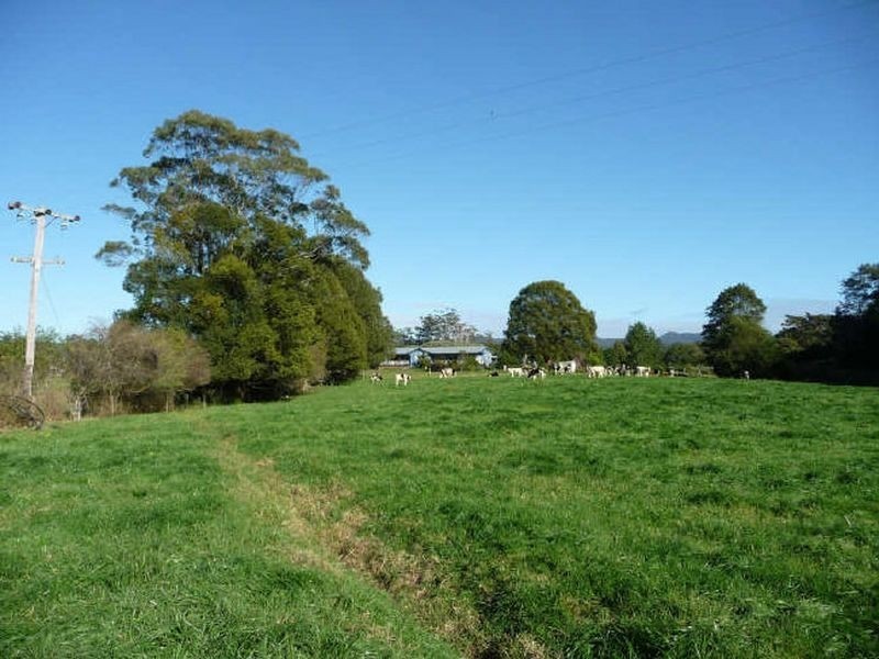 Hannam Vale NSW 2443