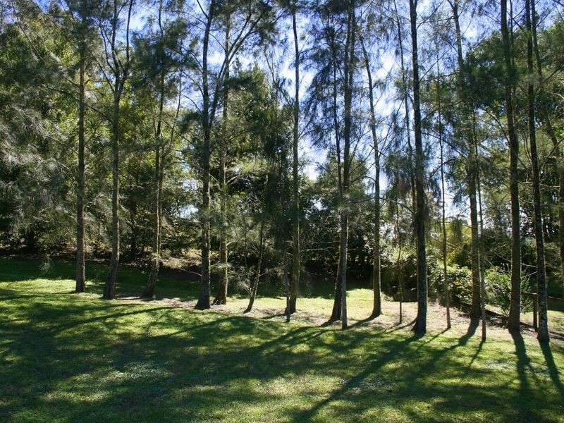 106 McCafferys Road, Hannam Vale NSW 2443