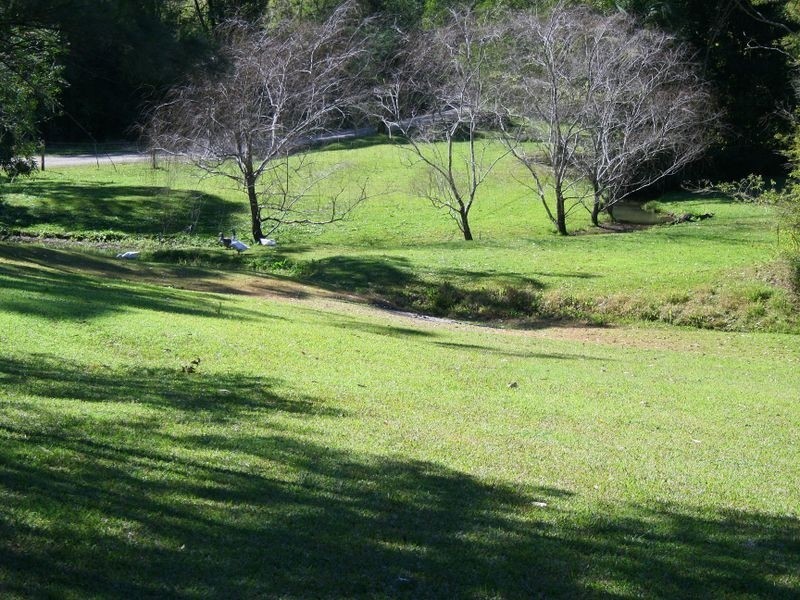 106 McCafferys Road, Hannam Vale NSW 2443