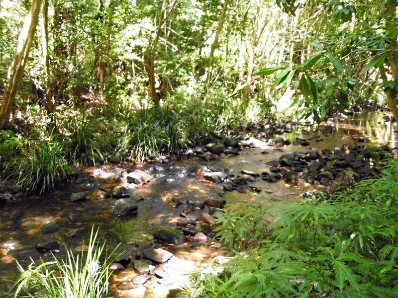 247 Waitui Road, Waitui NSW 2443