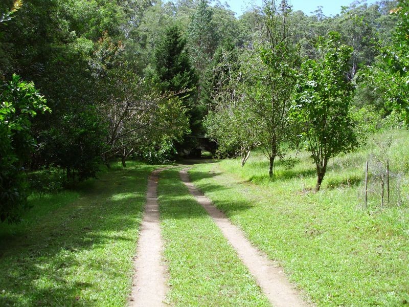 247 Waitui Road, Waitui NSW 2443