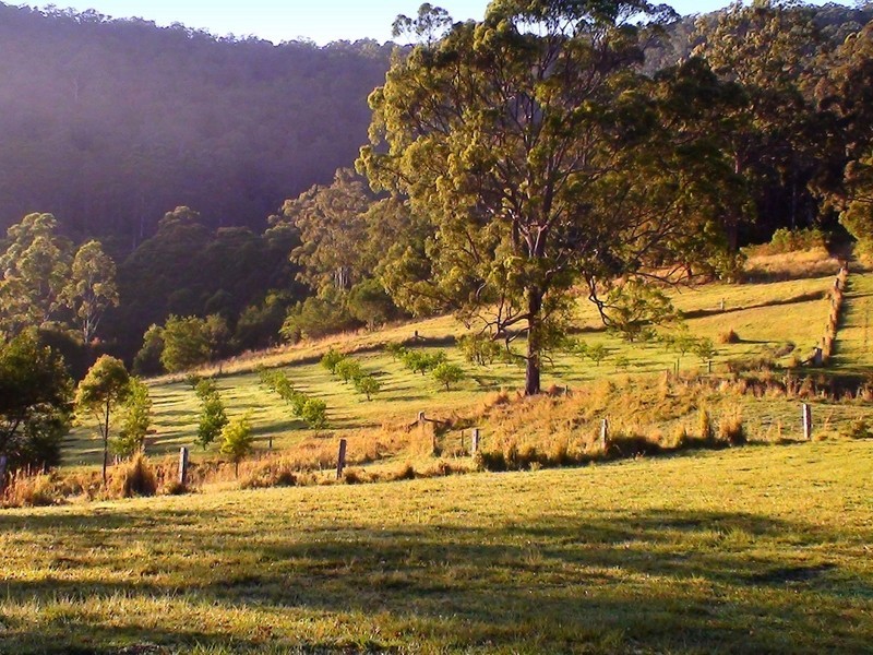 128 202 203/ Sommervilles Road, Lorne NSW 2439