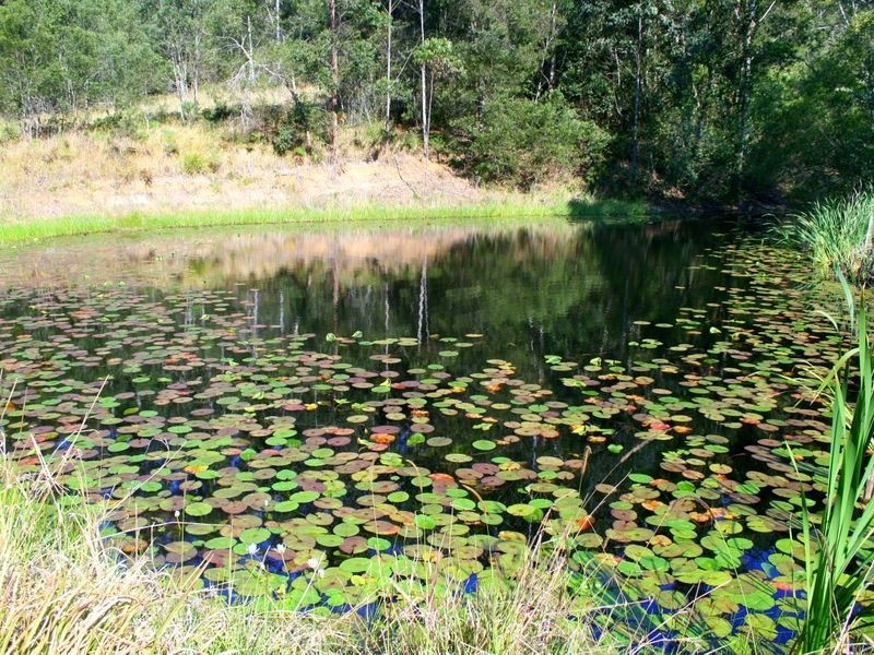 128 202 203/ Sommervilles Road, Lorne NSW 2439