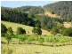 128 202 203/ Sommervilles Road, Lorne NSW 2439