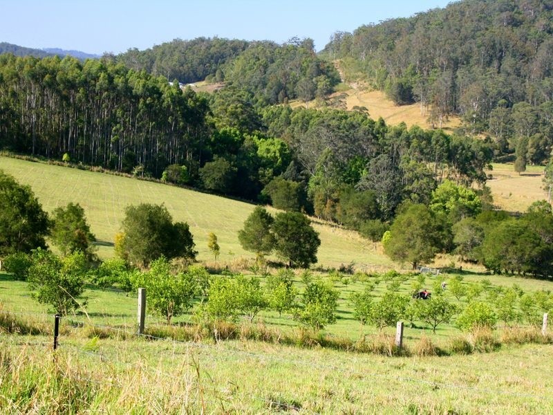 128 202 203/ Sommervilles Road, Lorne NSW 2439