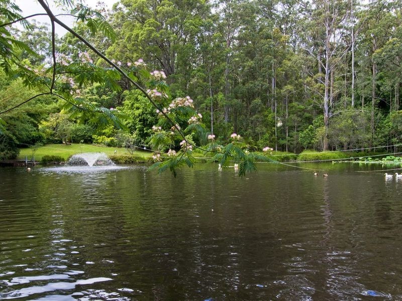 35 River Oaks Drive, Kendall NSW 2439