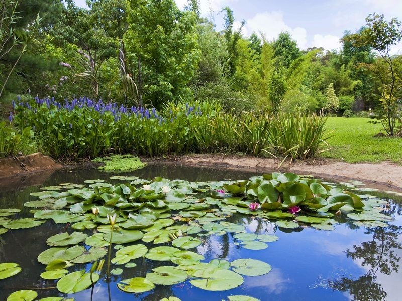 35 River Oaks Drive, Kendall NSW 2439