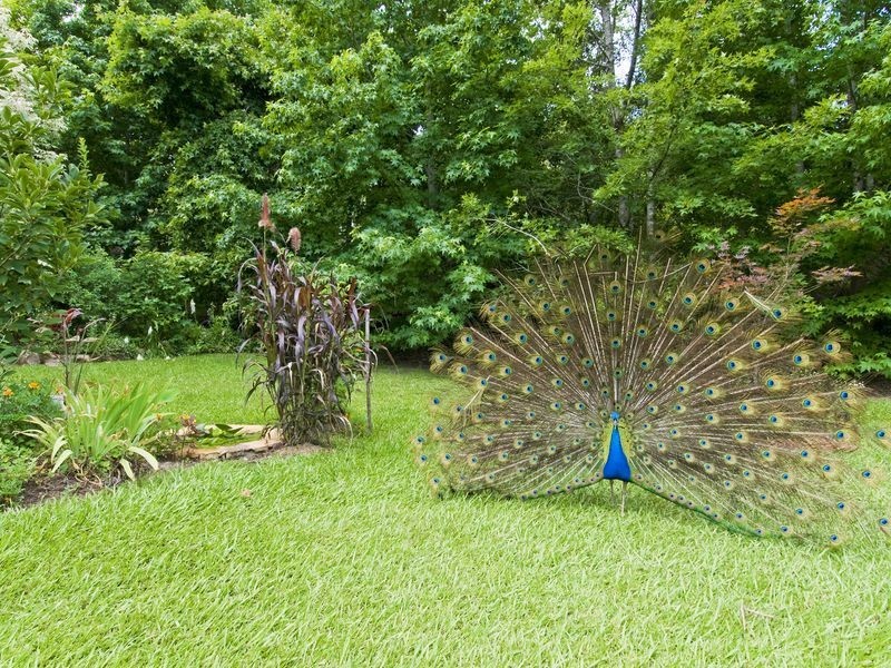 35 River Oaks Drive, Kendall NSW 2439