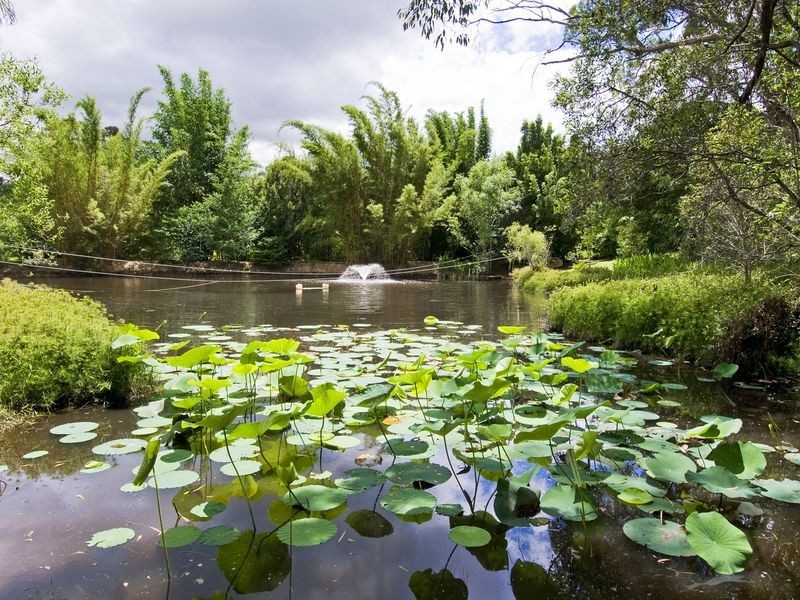 35 River Oaks Drive, Kendall NSW 2439