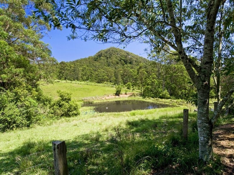 130 Cedar Loggers Lane, Kendall NSW 2439