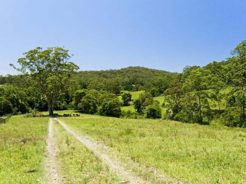 130 Cedar Loggers Lane, Kendall NSW 2439