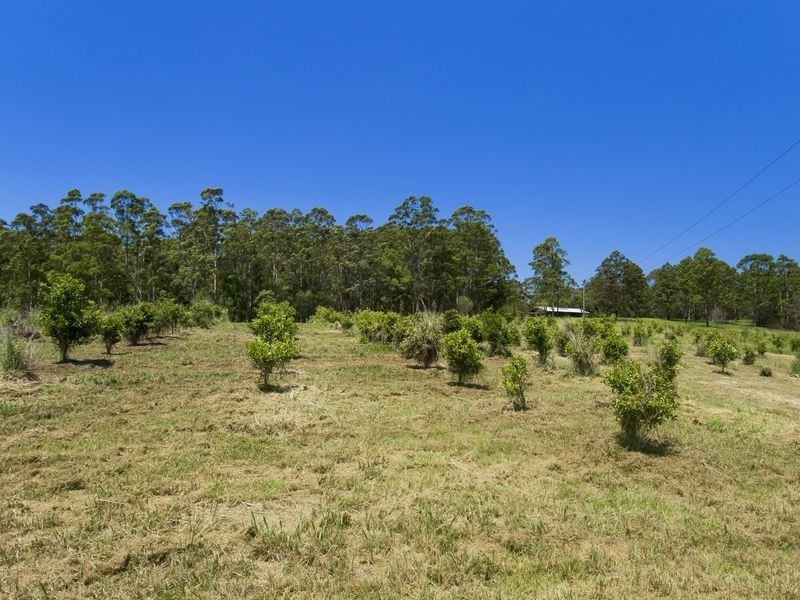 130 Cedar Loggers Lane, Kendall NSW 2439