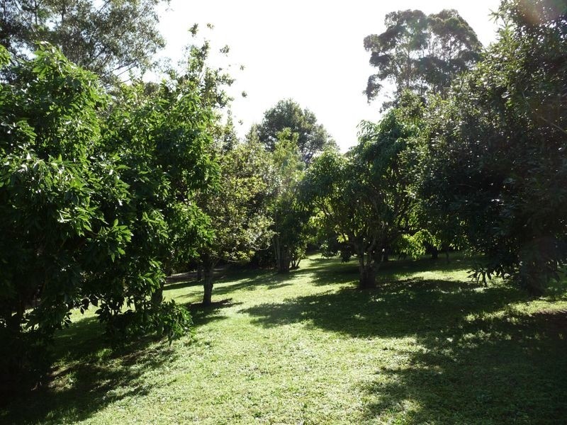 129 McCaffreys Road, Hannam Vale NSW 2443