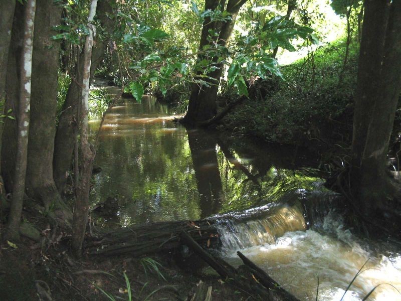 Hannam Vale NSW 2443