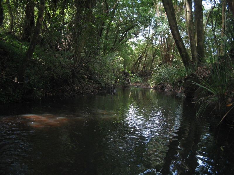 Hannam Vale NSW 2443