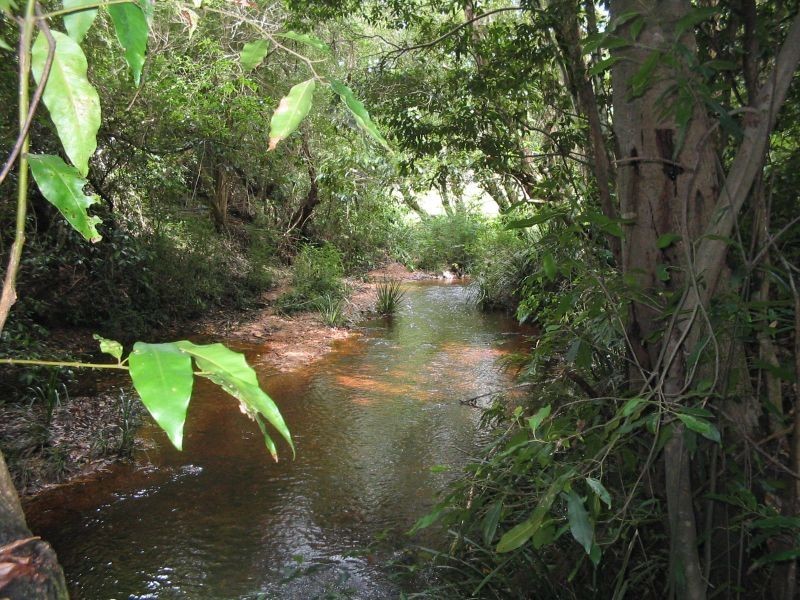 Hannam Vale NSW 2443