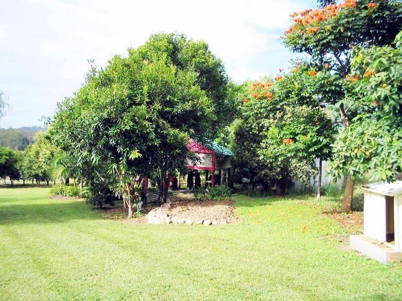 84 Isaacs Lane, Johns River NSW 2443