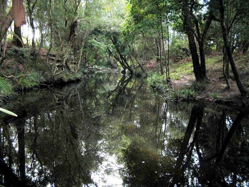 84 Isaacs Lane, Johns River NSW 2443