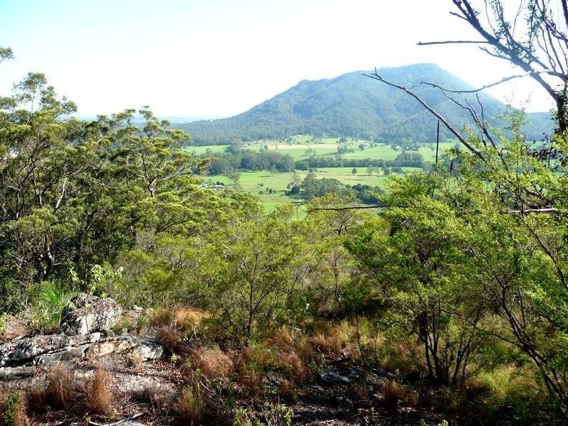 84 Isaacs Lane, Johns River NSW 2443