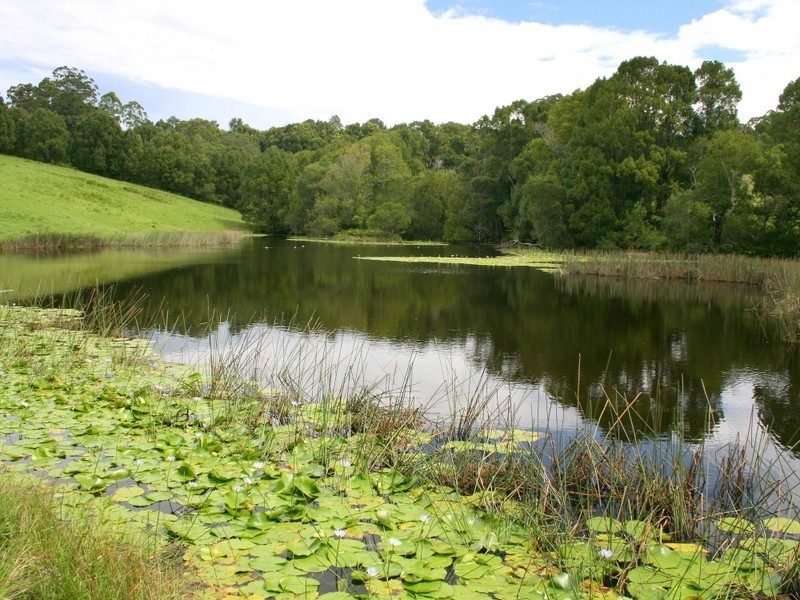 Lorne NSW 2439