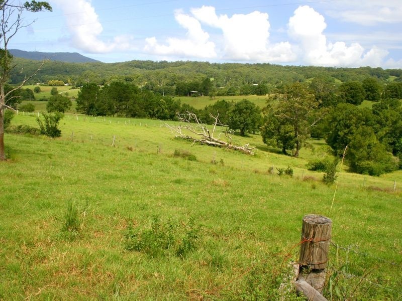 Lorne NSW 2439