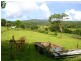 Lorne NSW 2439