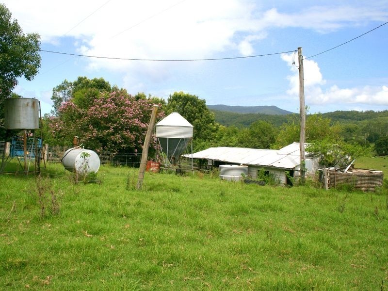 Lorne NSW 2439