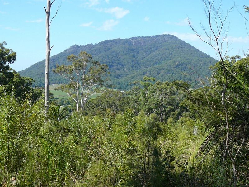 Lot 101 Isaacs Lane, Johns River NSW 2443