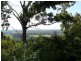 Lot 101 Isaacs Lane, Johns River NSW 2443