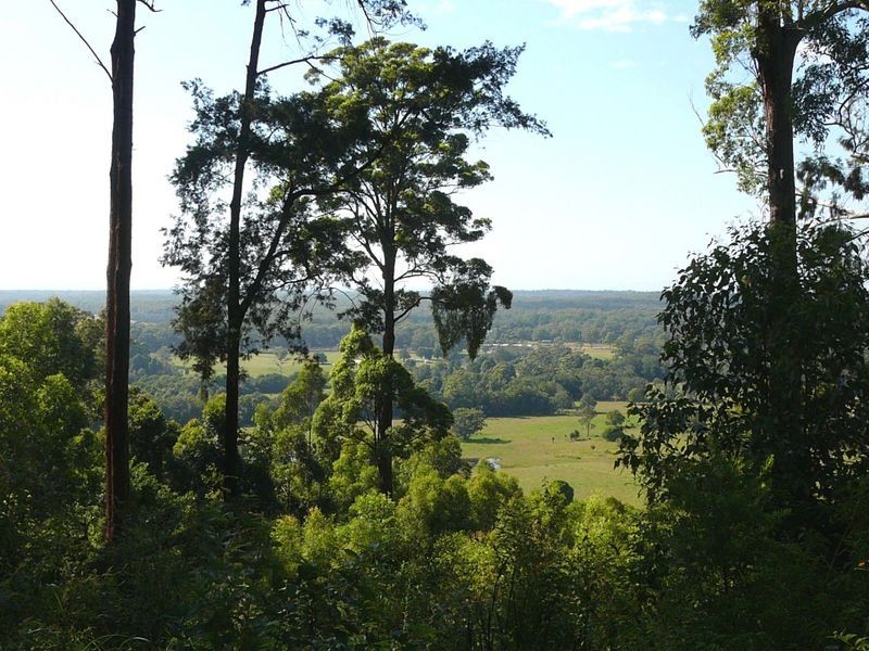 Lot 101 Isaacs Lane, Johns River NSW 2443