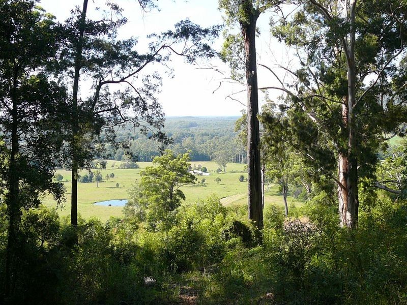 Lot 101 Isaacs Lane, Johns River NSW 2443